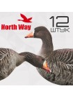 Профиля белолобого гуся North Way, плоские